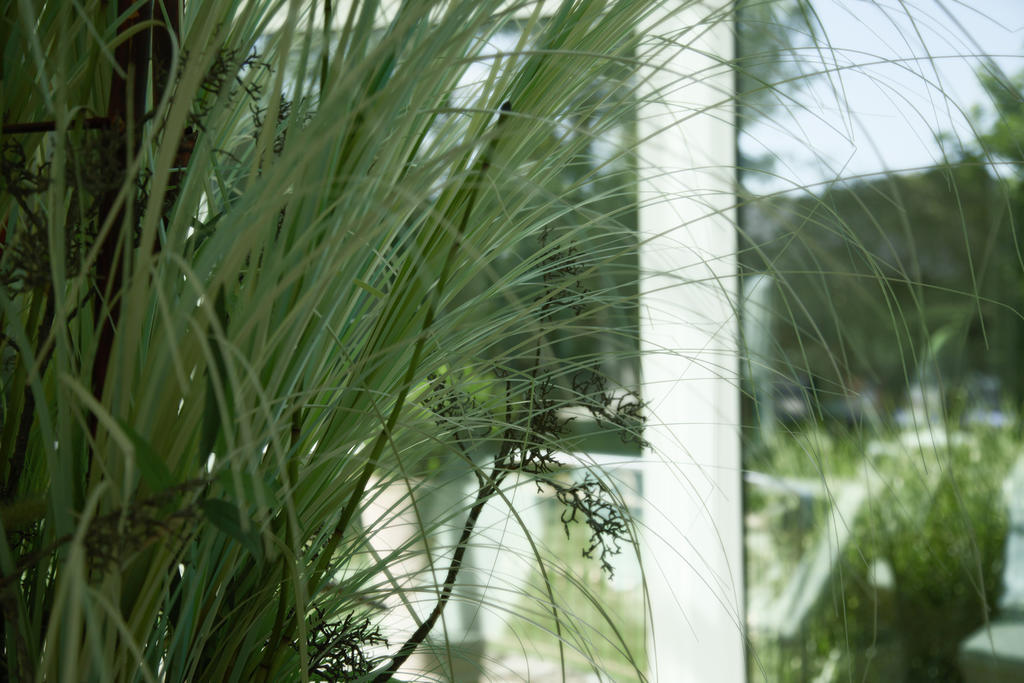 Thermenhotel Quellenhof Bad Füssing Εξωτερικό φωτογραφία